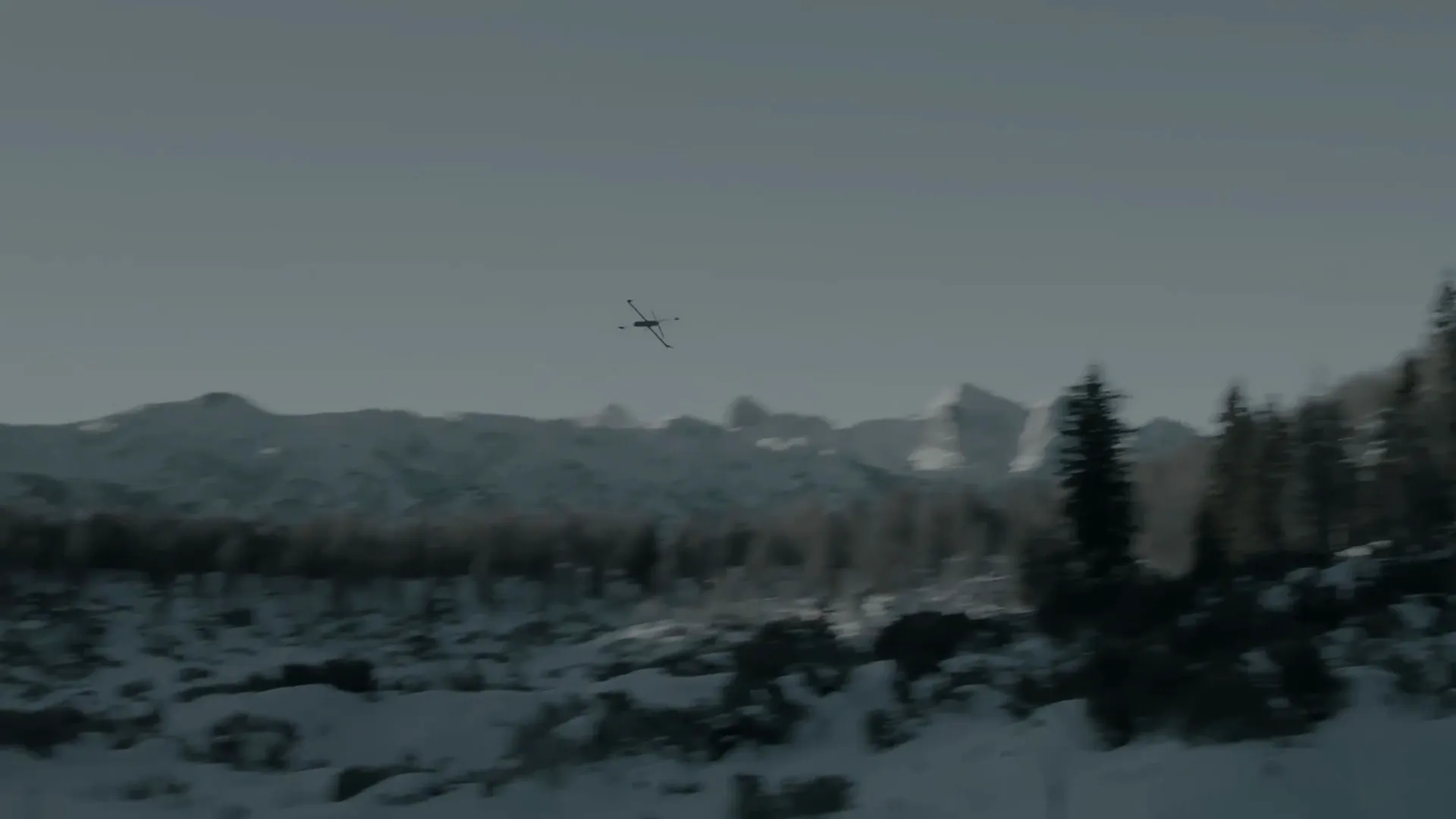 Vanguard banking over a forest
